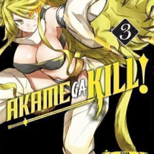 AKAME GA KILL 03