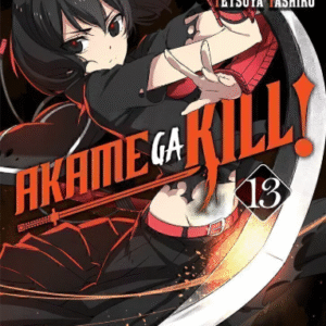 AKAME GA KILL 13