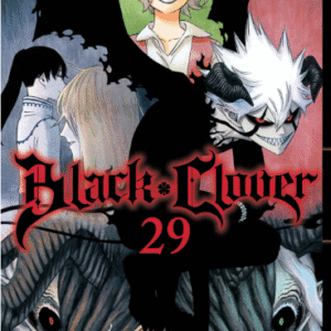 BLACK CLOVER 29