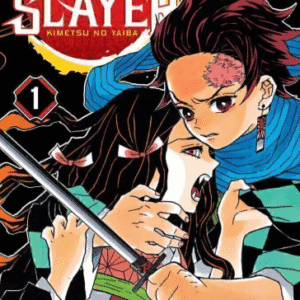 DEMON SLAYER - KIMETSU NO YAIBA 01