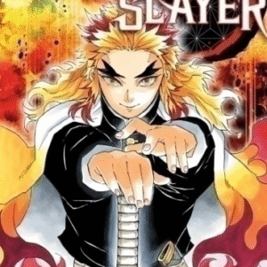 DEMON SLAYER - KIMETSU NO YAIBA 08