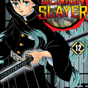 DEMON SLAYER - KIMETSU NO YAIBA 12