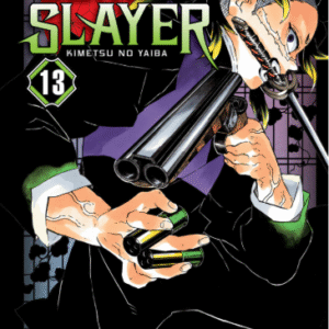 DEMON SLAYER - KIMETSU NO YAIBA 13