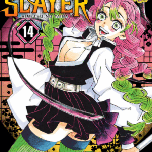 DEMON SLAYER - KIMETSU NO YAIBA 14