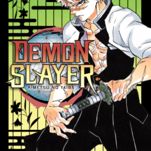 DEMON SLAYER - KIMETSU NO YAIBA 17
