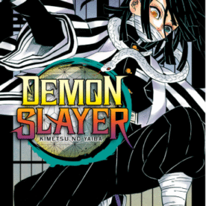 DEMON SLAYER - KIMETSU NO YAIBA 19