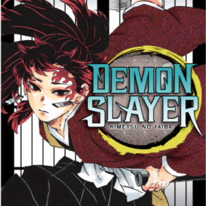 DEMON SLAYER - KIMETSU NO YAIBA 20