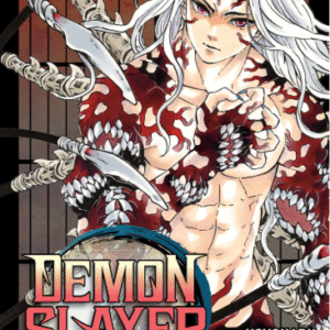 DEMON SLAYER - KIMETSU NO YAIBA 22