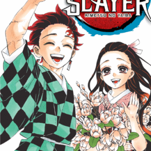 DEMON SLAYER - KIMETSU NO YAIBA 23 (ESPECIAL)