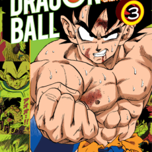 DRAGON BALL COLOR: SAGA SAIYAJIN 03