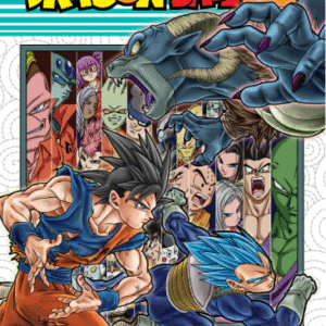 DRAGON BALL SUPER 13