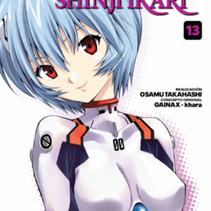 EVANGELION: PROYECTO DE CRIANZA DE SHINJI IKARI 13