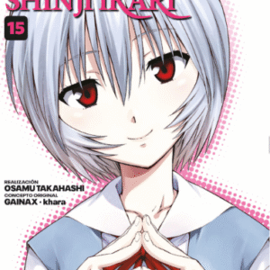 EVANGELION: PROYECTO DE CRIANZA DE SHINJI IKARI 15