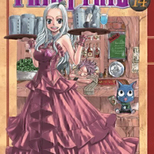 FAIRY TAIL 14