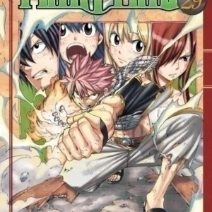 FAIRY TAIL 29