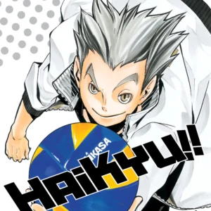 HAIKYU!! 11