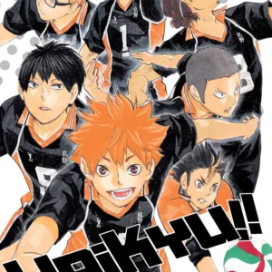 HAIKYU!! 12