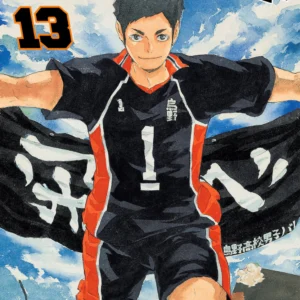 HAIKYU!! 13