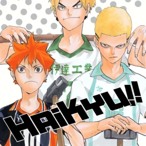 HAIKYU!! 15