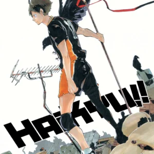HAIKYU!! 16