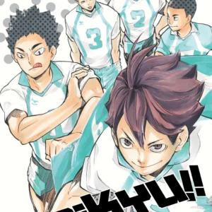 HAIKYU!! 17