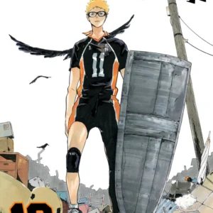 HAIKYU!! 19
