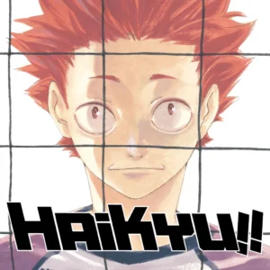 HAIKYU!! 20