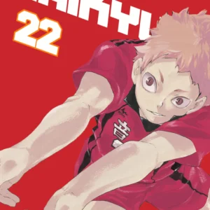 HAIKYU!! 22