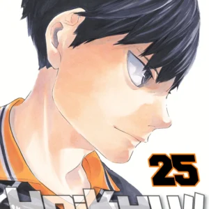 HAIKYU!! 25