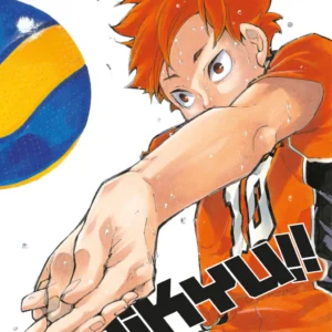 HAIKYU!! 33