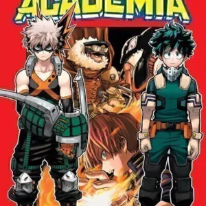 MY HERO ACADEMIA 13