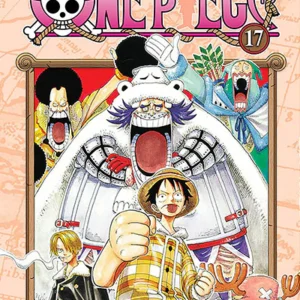 ONE PIECE 17