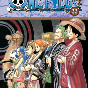 ONE PIECE 22