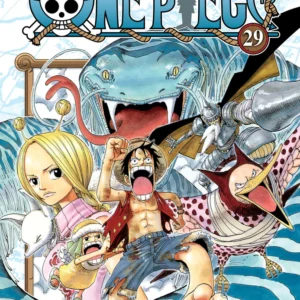 ONE PIECE 29
