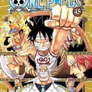ONE PIECE 45