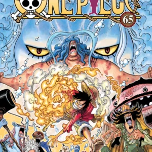 ONE PIECE 65