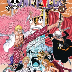 ONE PIECE 73