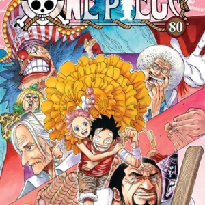 ONE PIECE 80