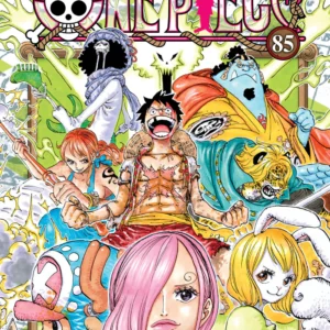 ONE PIECE 85