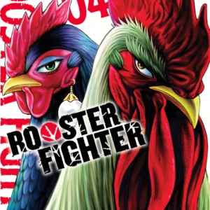 ROOSTER FIGHTER 04