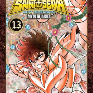 SAINT SEIYA NEXT DIMENSION 13