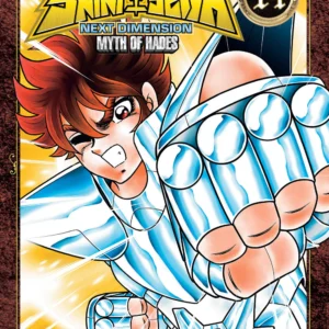 SAINT SEIYA NEXT DIMENSION 14