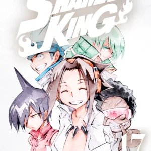 SHAMAN KING ED. DELUXE 17