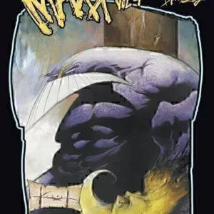 THE MAXX 04