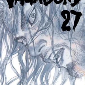 VAGABOND 27