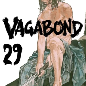 VAGABOND 29