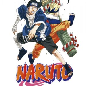 NARUTO 22