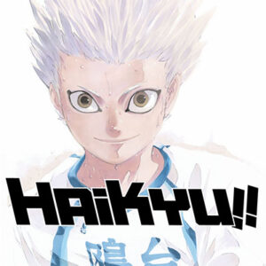 HAIKYU!! 39