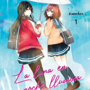 LA LUNA EN UNA NOCHE LLUVIOSA 01