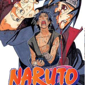 NARUTO 43